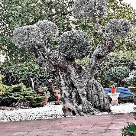 Casa Con Encanto Y Jardin *